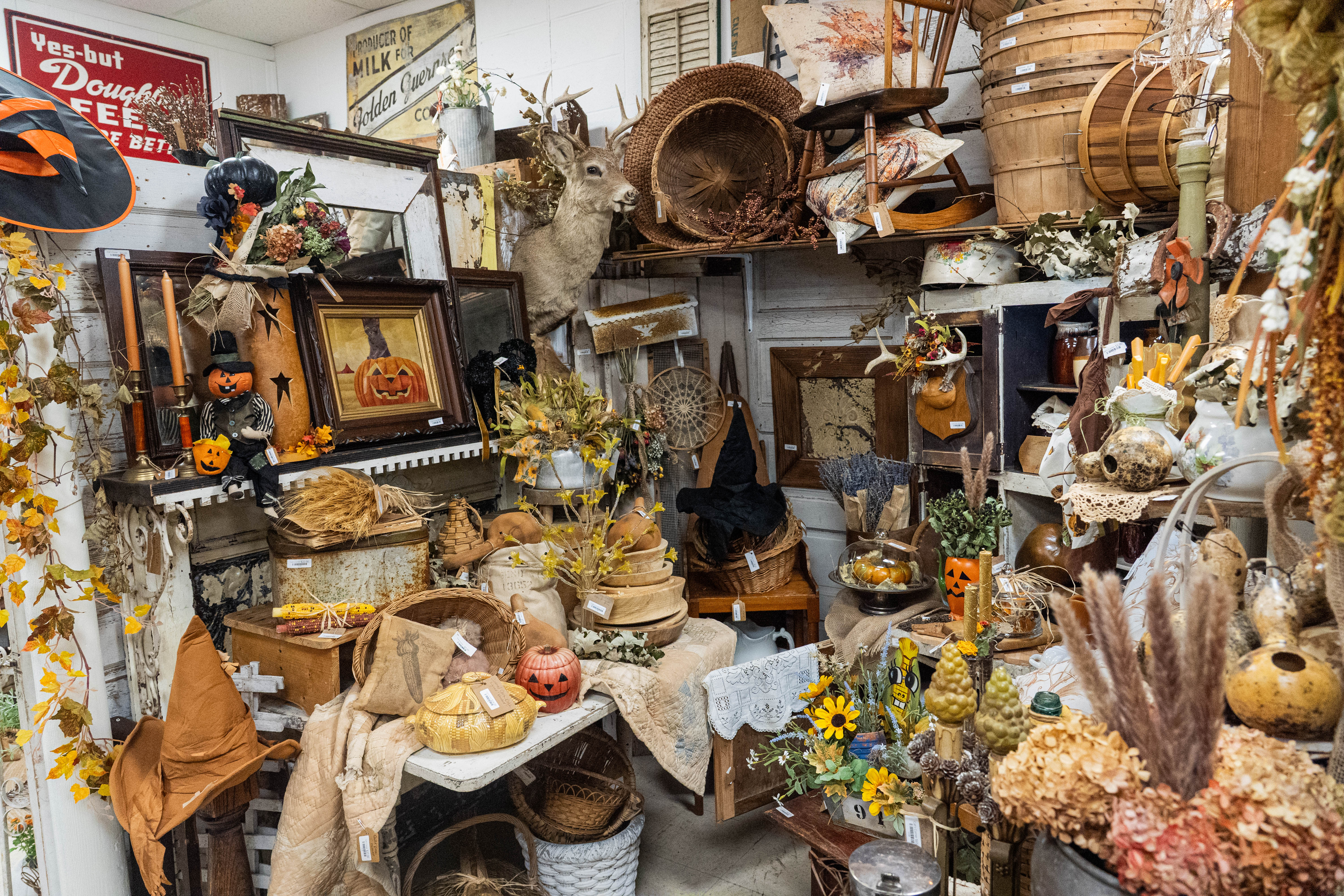 An area of the She Shed where seemingly all the space is taken up by a eclectic mix of items for sale